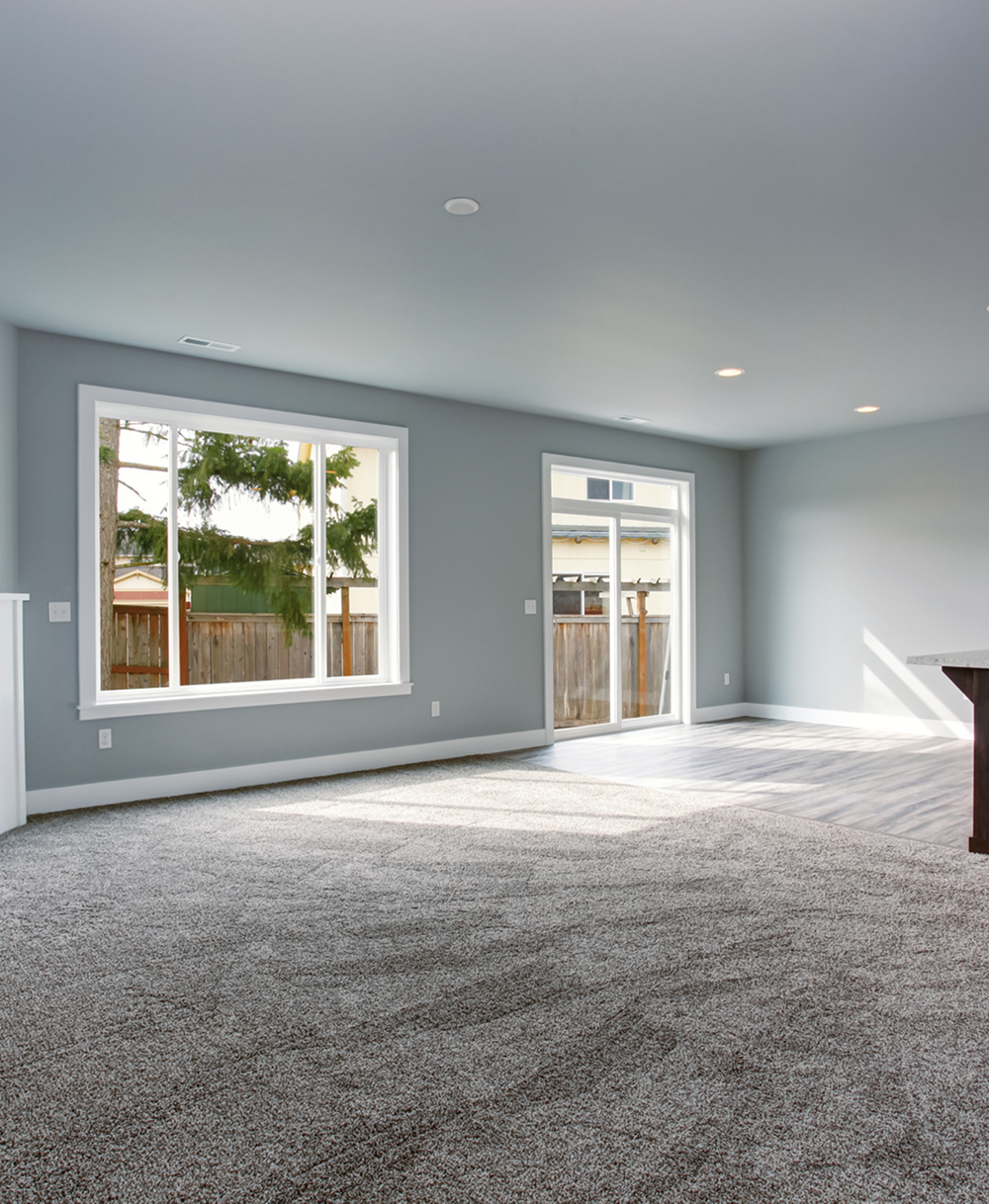 Modern interior with gray carpet